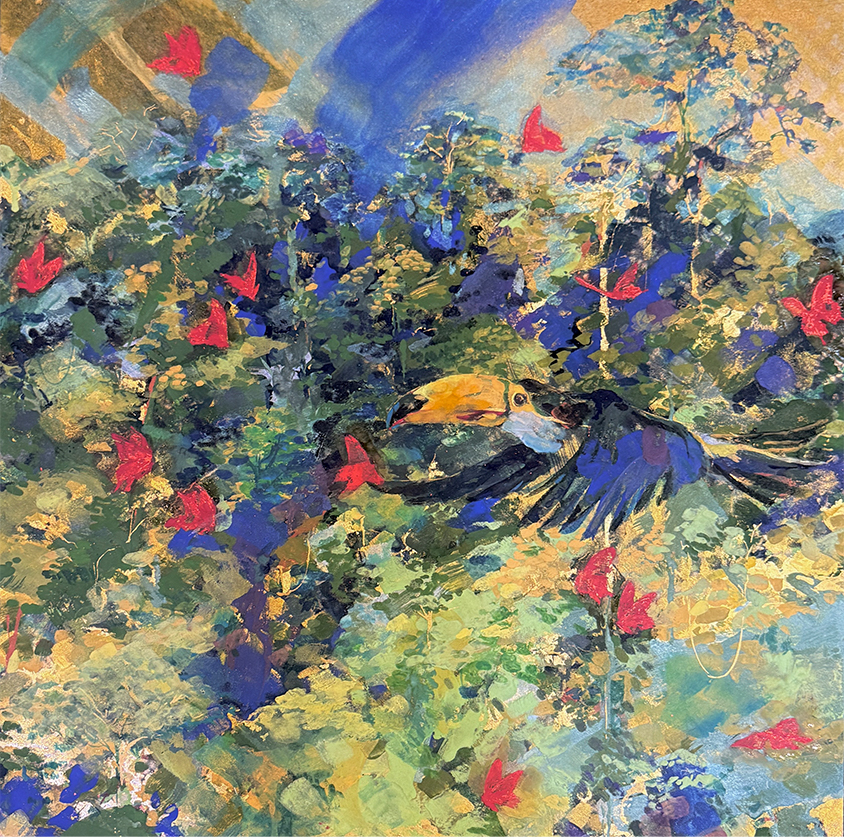 rainforest series , hornbill