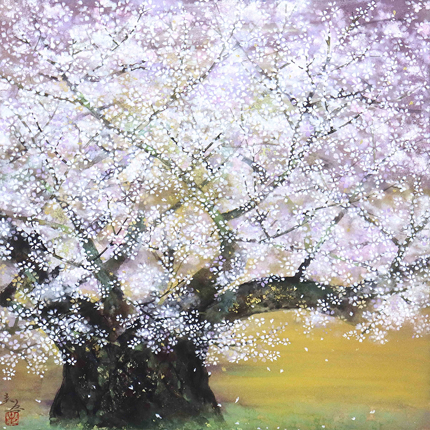 ［春］木村 圭吾「淡墨桜」 