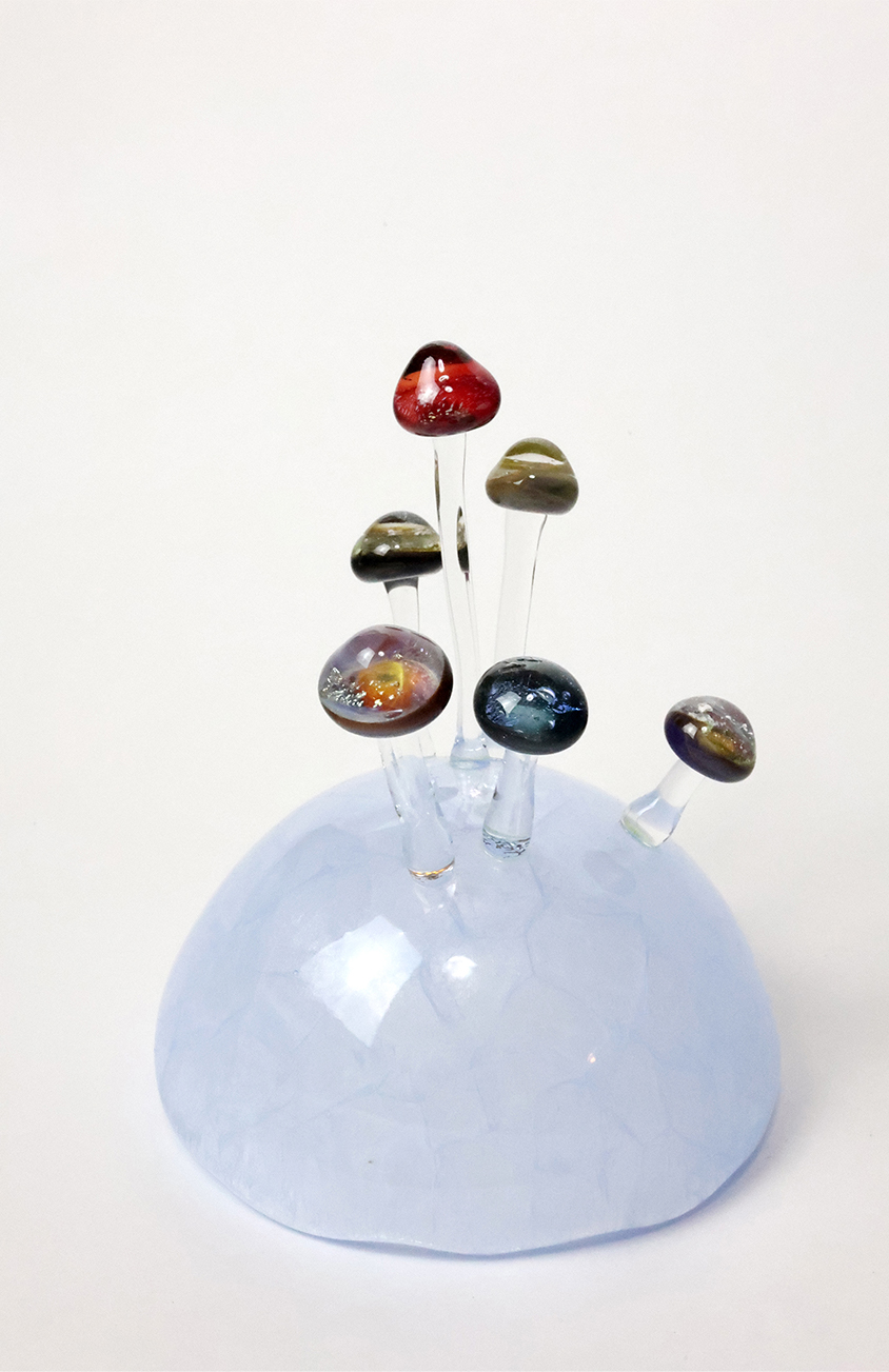 金丸遥「木の子の星 -cosmos-」