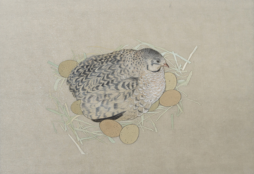 中田日菜子「姫うずら」 