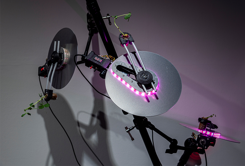 髙橋穣「装置#10_Gravity Plant_Mk4 (ED4)」 