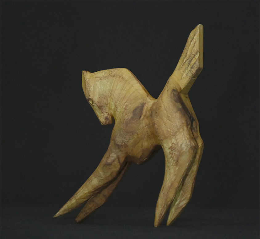 サルチョード・イル「響き247/Echo247」