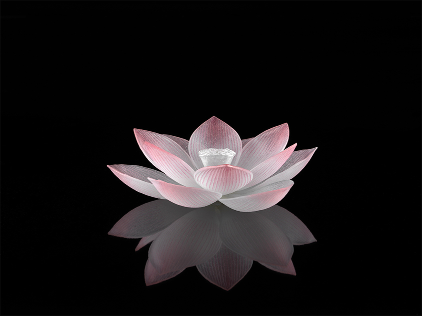 「時間の華」