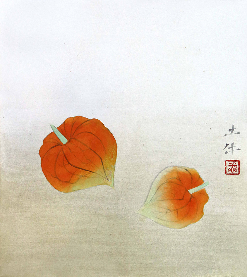 奥村 土牛「ほおずき」