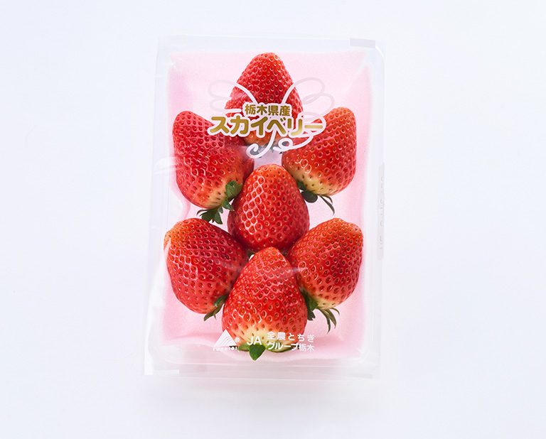 フレッシュワン