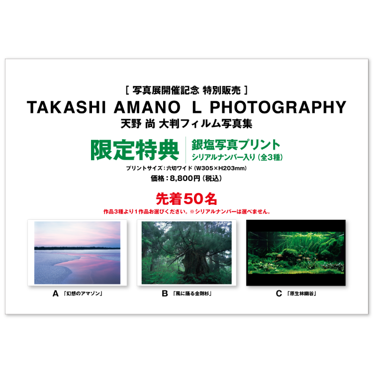 写真展開催記念 特別販売