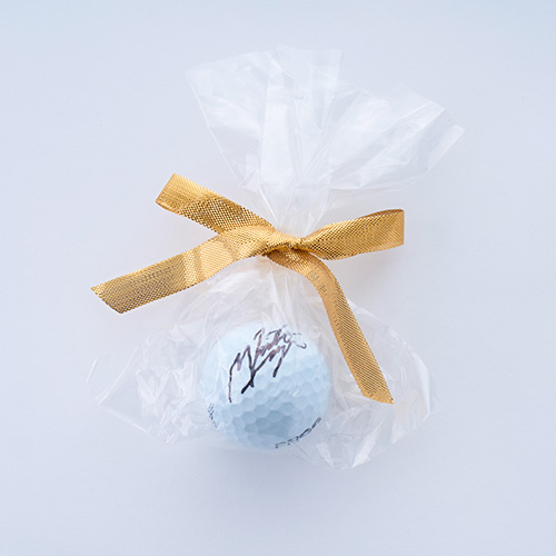 ランバンスポール