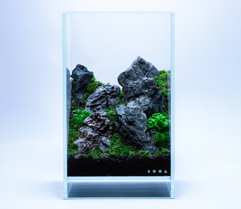 〈ADA LAB TOKYO〉ミニパルダリウム