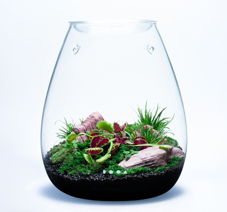 〈ADA LAB TOKYO〉G.W特別企画親子ワークショップ 食虫植物のミニパルダリウム