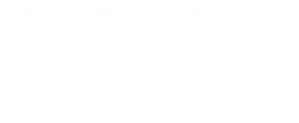 車中で映える！華やかなご褒美弁当