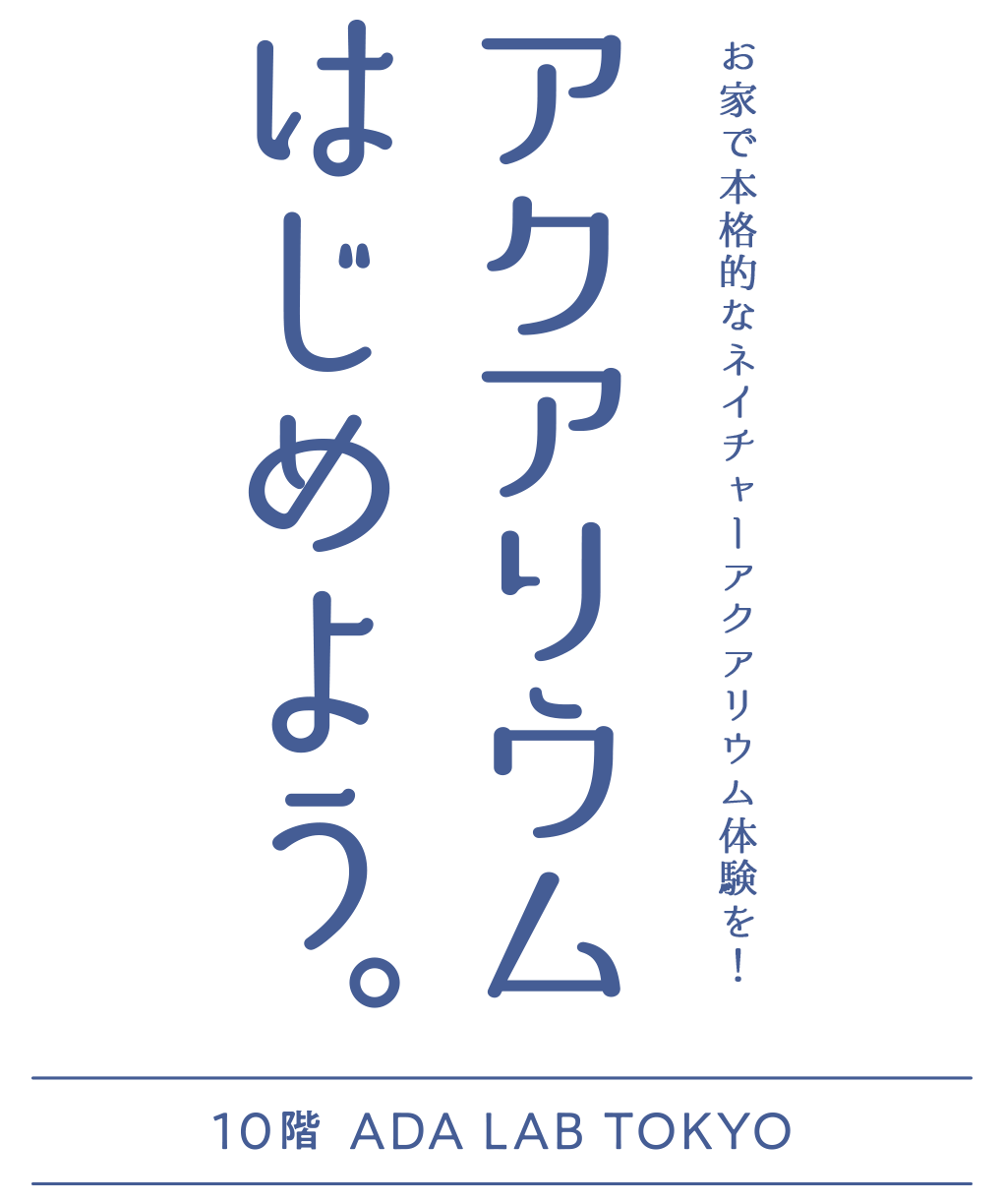 zeitakubentomatsuri_01_01.jpg