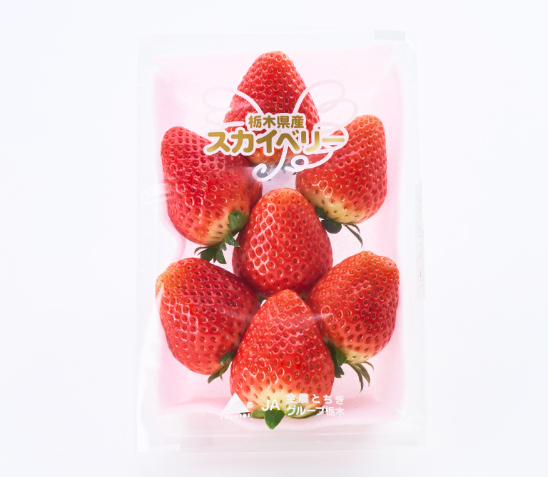 フレッシュワン