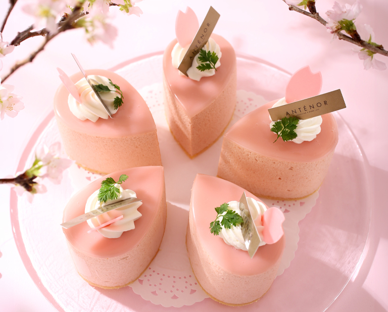 〈アンテノール〉桜と紅茶のケーキ