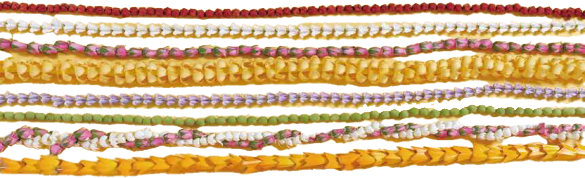 sakuraironokurashi_pagemain.png