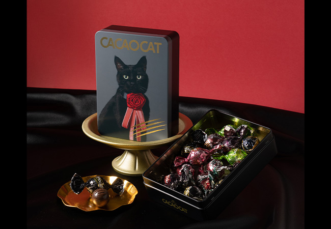 CACAOCAT缶 14個入 NOIR