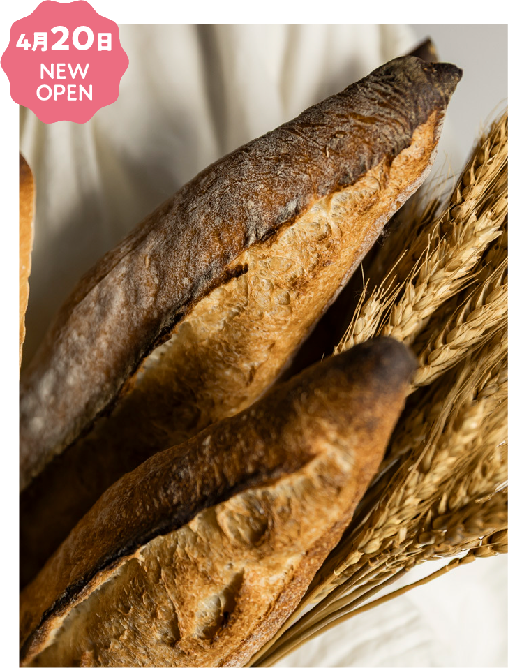 D.baguette by parigot & DIA