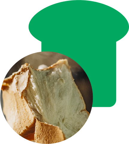 D.baguette by parigot & DIA