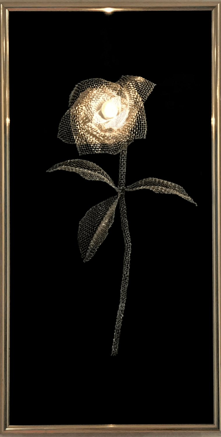 Rose Lighting