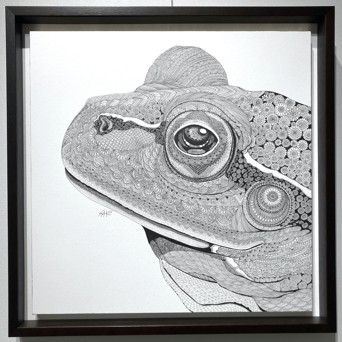 FACE -アマガエル-