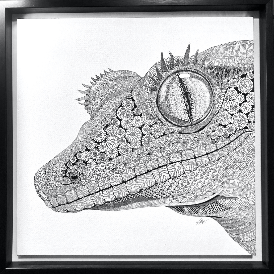 FACE -クレステッドゲッコー-