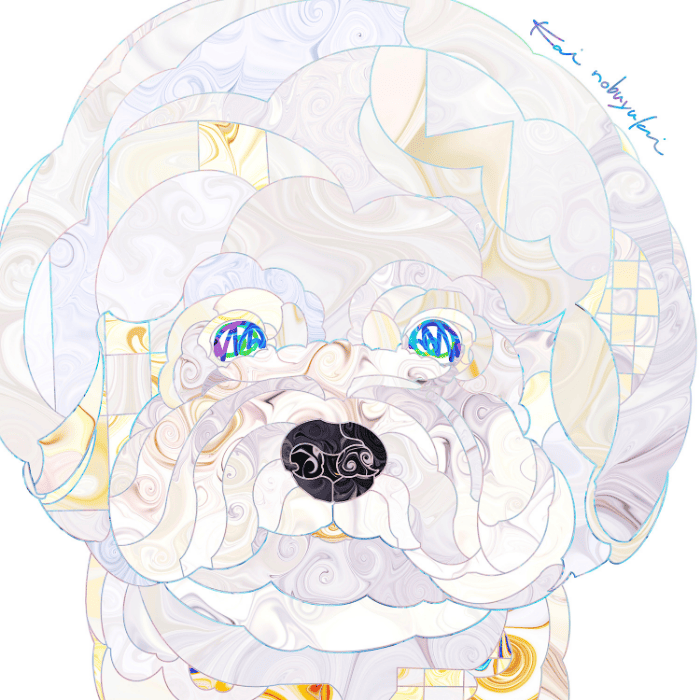 Bichon frise &times; White flowers