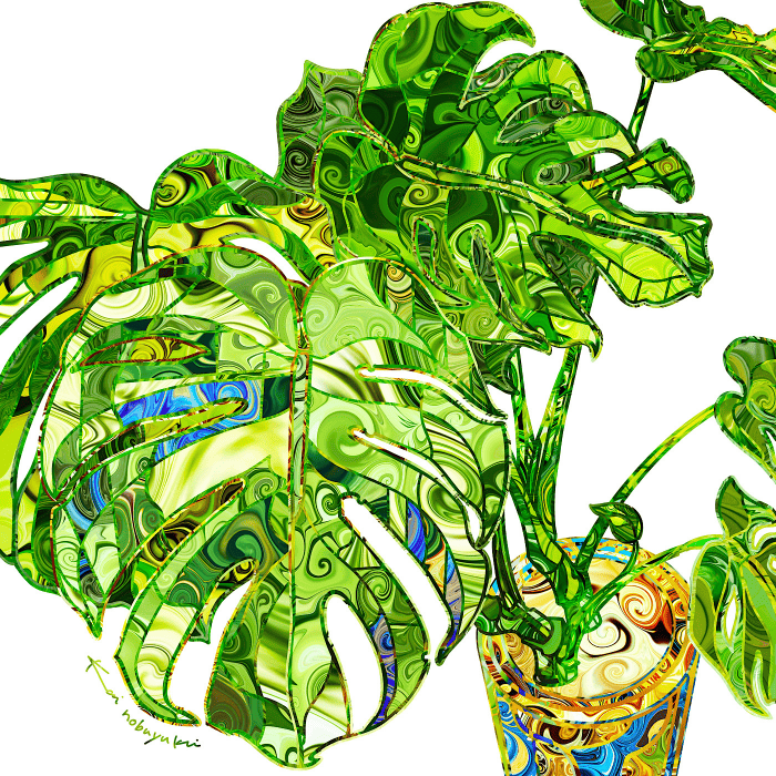 Monstera &times; Sea gold