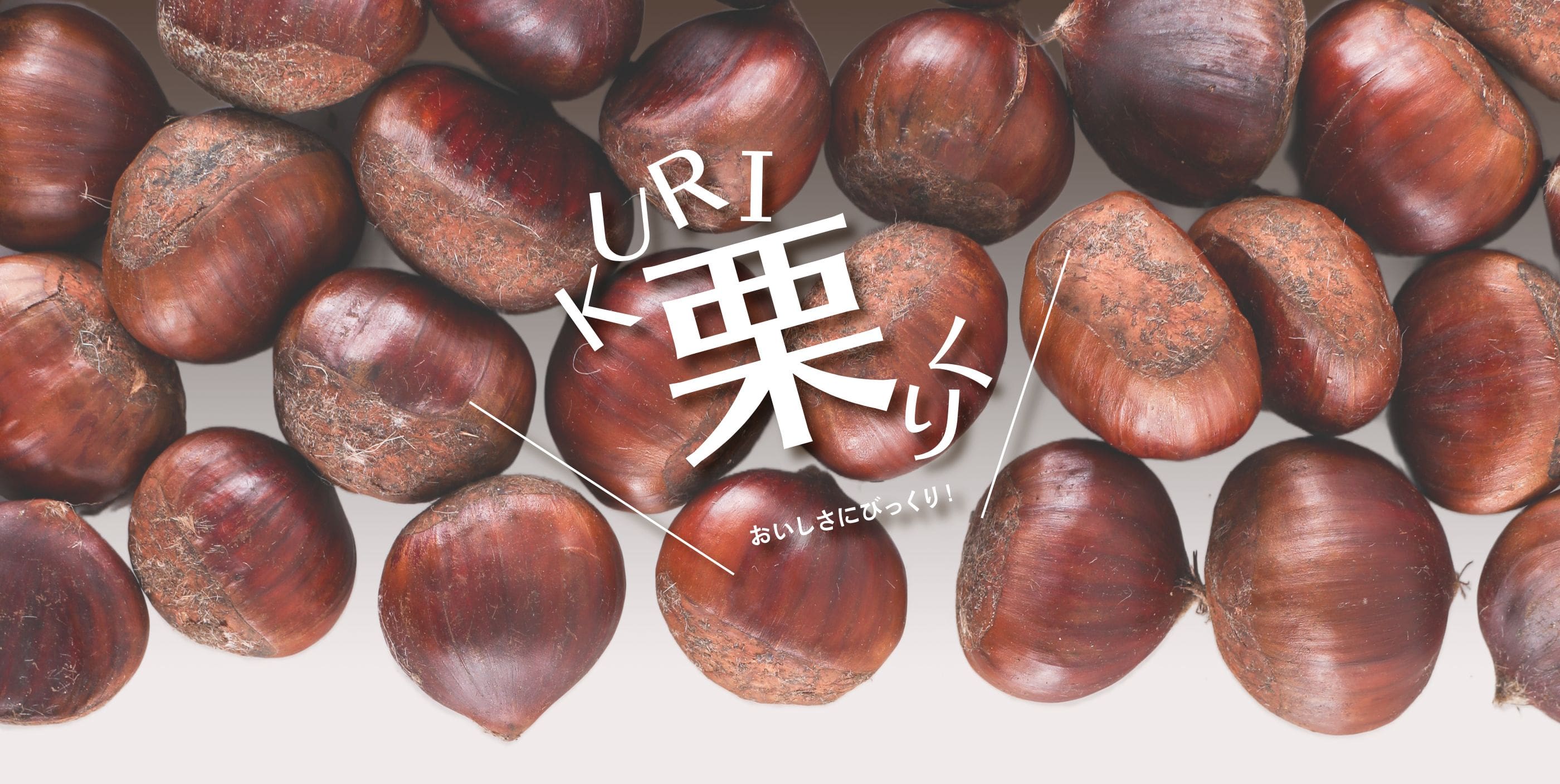 栗kuriくり おいしさにびっくり!