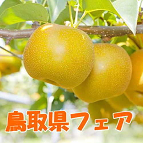鳥取県フェア イメージ