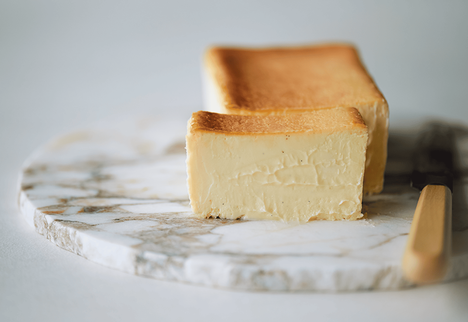 Mr. CHEESECAKE