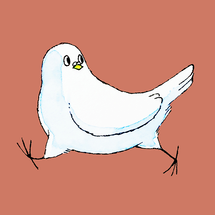 笛田鳩