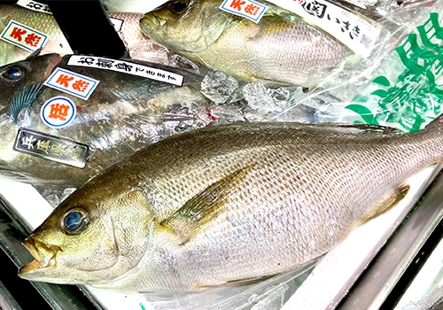 〈大水直売〉いさき
