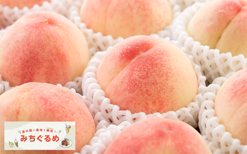 〈道の駅 くしがきの里〉メイン1