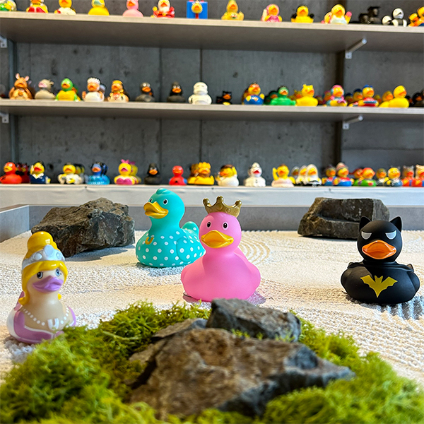 〈Ducks〉期間限定ショップ