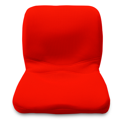 〈ピント〉Pinto