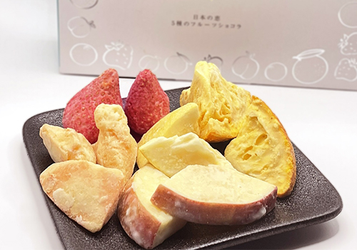 〈Chemi du Chocolat〉シュミードゥ・ショコラ 日本の恵5種のフルーツショコラ