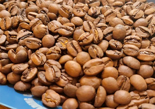 〈キョーワズコーヒー〉