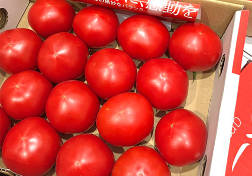 〈フレッシュワン〉