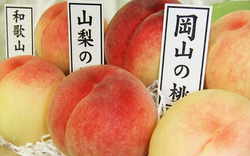 〈大和果園〉メイン2