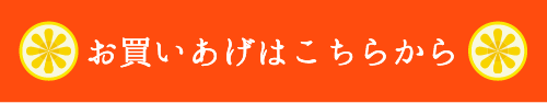 お買いあげはこちらから