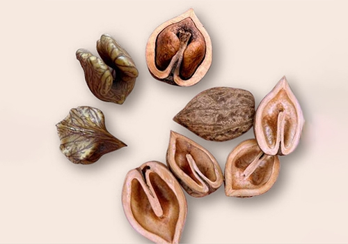 wagurumi