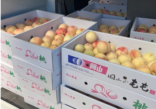 岡山・果物屋さん時代