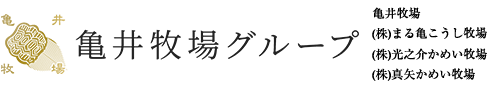 近江亀井牛