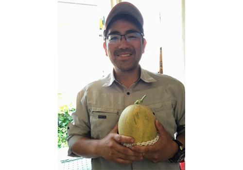 メロン農家修行中