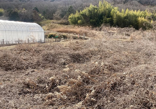 2022.2.6 借りたばかりの畑