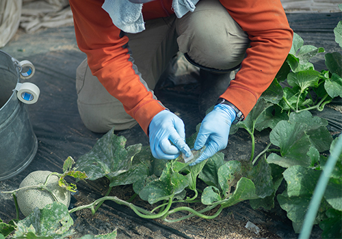 マスキングテープ作業