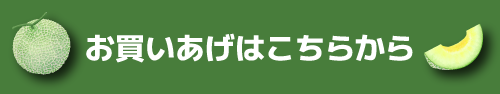 お買いあげはこちらから