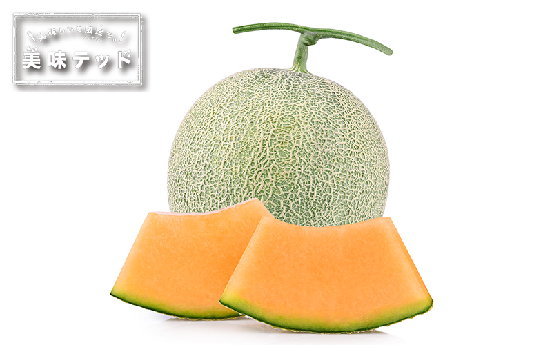 〈くまさんの森〉メイン1