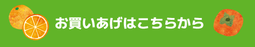 お買いあげはこちらから
