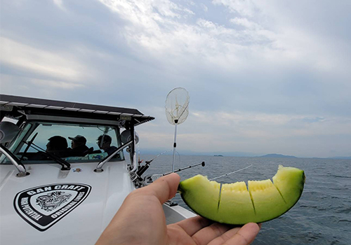 魚釣りの写真