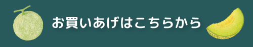 お買いあげはこちらから